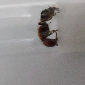20220720_204421.jpg