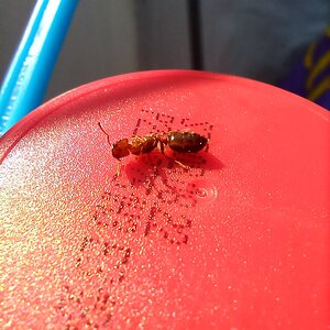IMG_20220722_093621.jpg