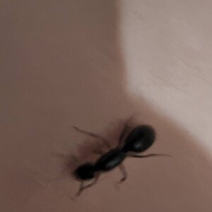 20220724_025423.jpg