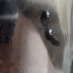 20220724_025657.jpg
