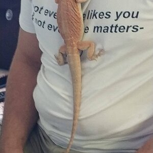 SAVE_20220723_012549.jpg