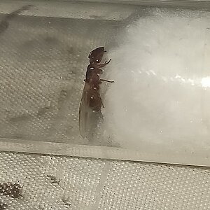 IMG_20220727_004014.jpg