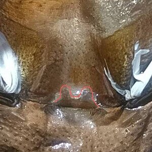 20220730_120404.jpg