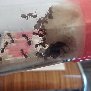 IMG_20220730_115712~2.jpg
