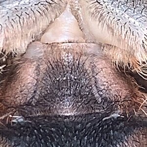 11432EA0-A475-44E0-9CF0-02013D617329.jpeg