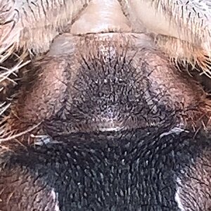 6E93B1DD-513C-4B5E-A680-44160714BE88.jpeg