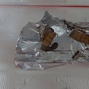 20220803_213733.jpg