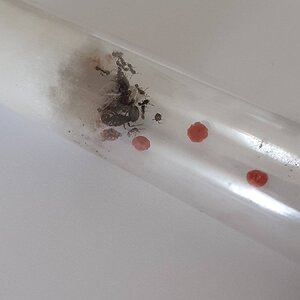 20220805_122942.jpg