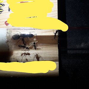 20220806_000040.jpg