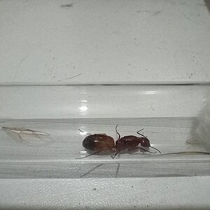 IMG-20220816-WA0016.jpg