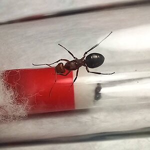 20220820_222115.jpg