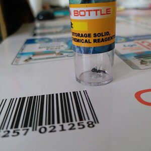 20220822_095200.jpg