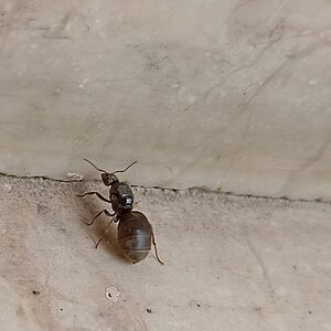 IMG_20220826_174911.jpg