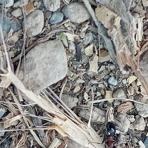 20220827_160840.jpg