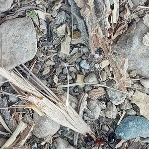 20220827_160844.jpg