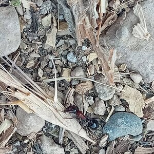 20220827_160847.jpg