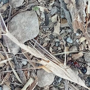 20220827_160849.jpg