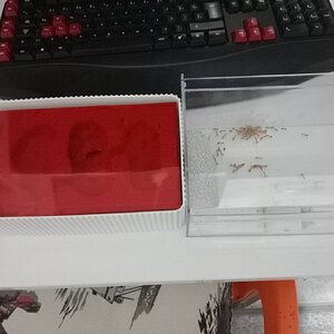 IMG20220917215334.jpg