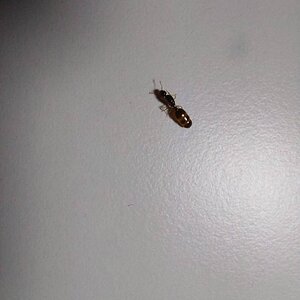 IMG-20220918-WA0003.jpg
