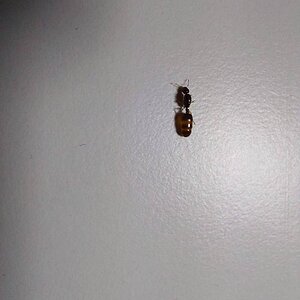 IMG-20220918-WA0000.jpg