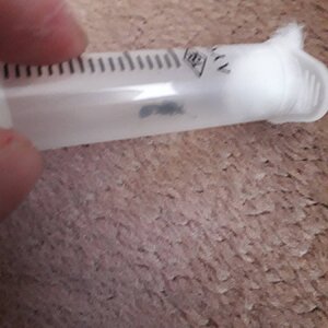 20220923_150537.jpg