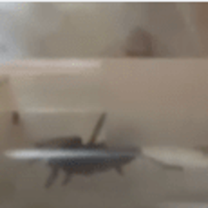 1664327802637.png