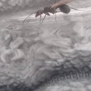 IMG_20221006_122018_538.jpg