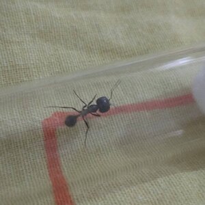 IMG_20221010_152722_1.jpg