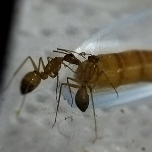 IMG_20221012_225622.jpg