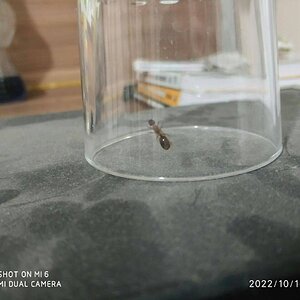 IMG_20221016_201725_199.jpg