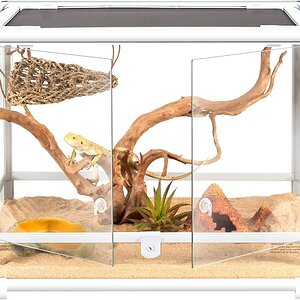 TarantulaYasamAlani03.jpg