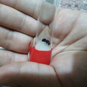 IMG-20221020-WA0017.jpeg