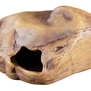 PT2866_Gecko_Cave.jpg