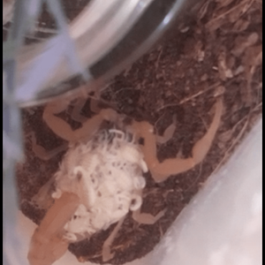 12391EDA-1C09-4120-81DD-7839C092523D.png