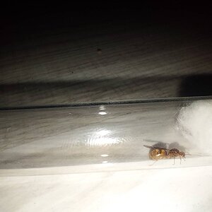 IMG20230227210345.jpg