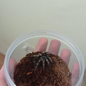IMG-20230223-WA0031.jpeg