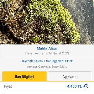 Screenshot_20230324-172831.png