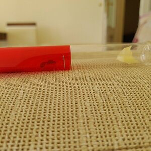02a66fa3-bfa9-4cbe-a3f6-be729deb9760.jpg
