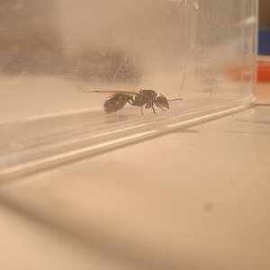 IMG_20230403_185152.jpg