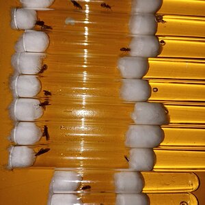 IMG_20230404_194228.jpg