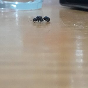 20230409_153317.jpg