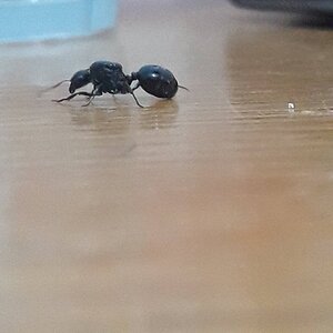 20230409_153340.jpg