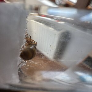 IMG_9967.jpeg