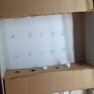 20230408_214048.jpg