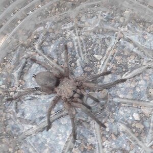 IMG_20230418_005214_861.jpg