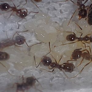 IMG_20230420_235904.jpg