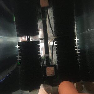 6F539C68-E5B4-4057-8F6B-98613753058A.jpeg