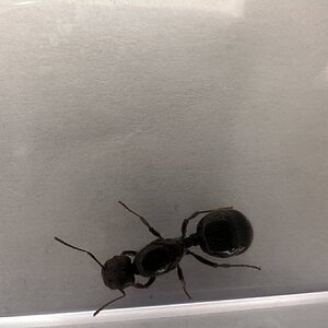 IMG_7470.jpeg