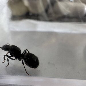 IMG_7460.jpeg