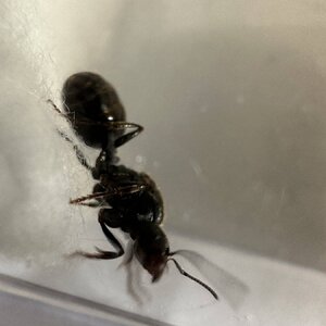 IMG_7456.jpeg